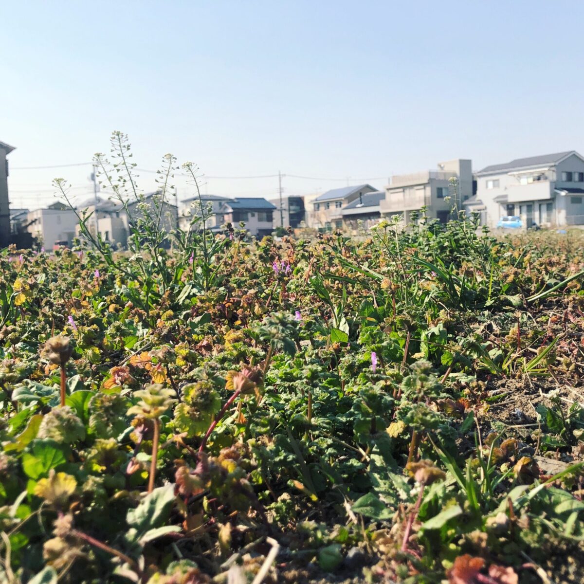 はるかぜとともに はるかぜとともに