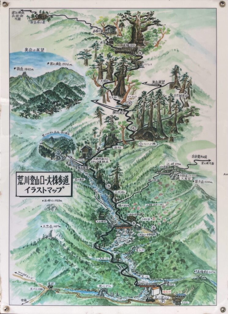 荒川登山口~大株歩道イラストマップ