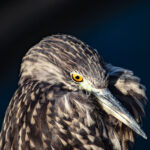 1.5ヶ月の進捗 1.5ヶ月の進捗