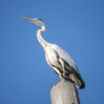 マシを積み重ねる マシを積み重ねる