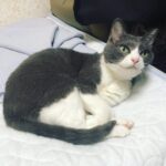 欲しかった余裕