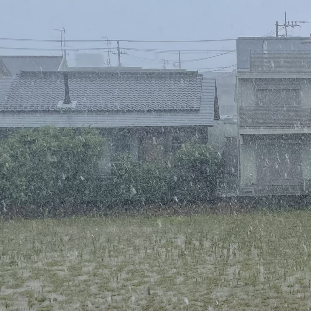 ととのわない ととのわない