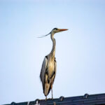 イマイチなときにこそ抑える