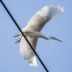 走れるよろこび 走れるよろこび