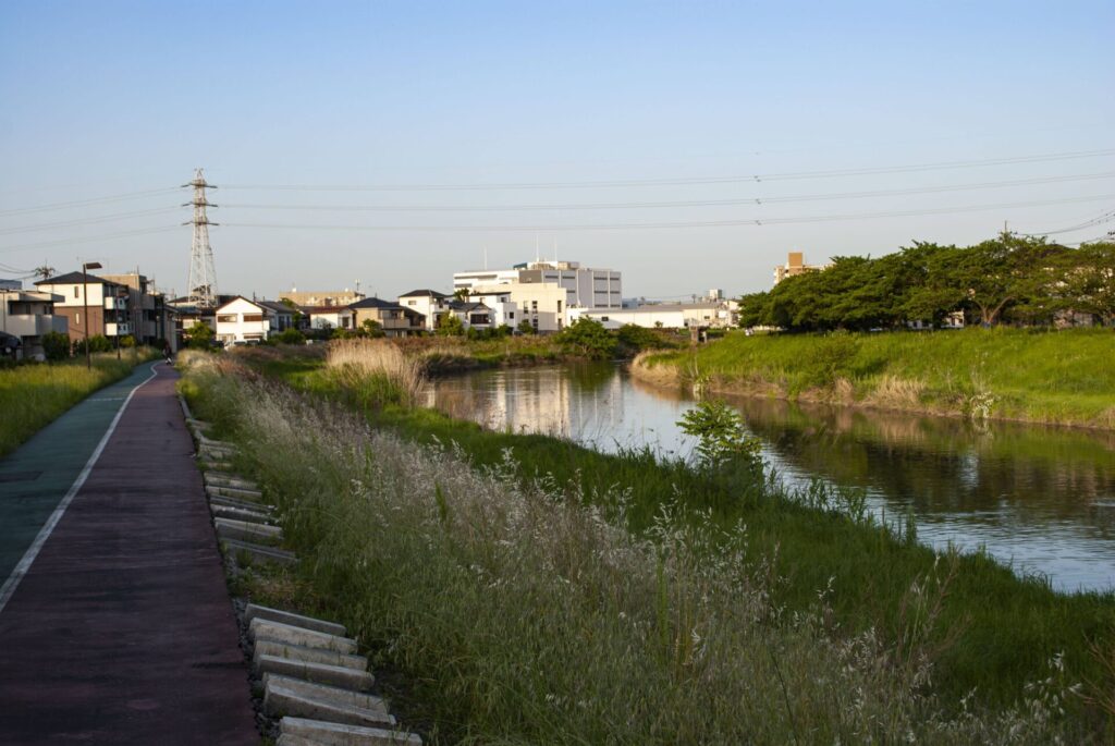 綾瀬川散歩
