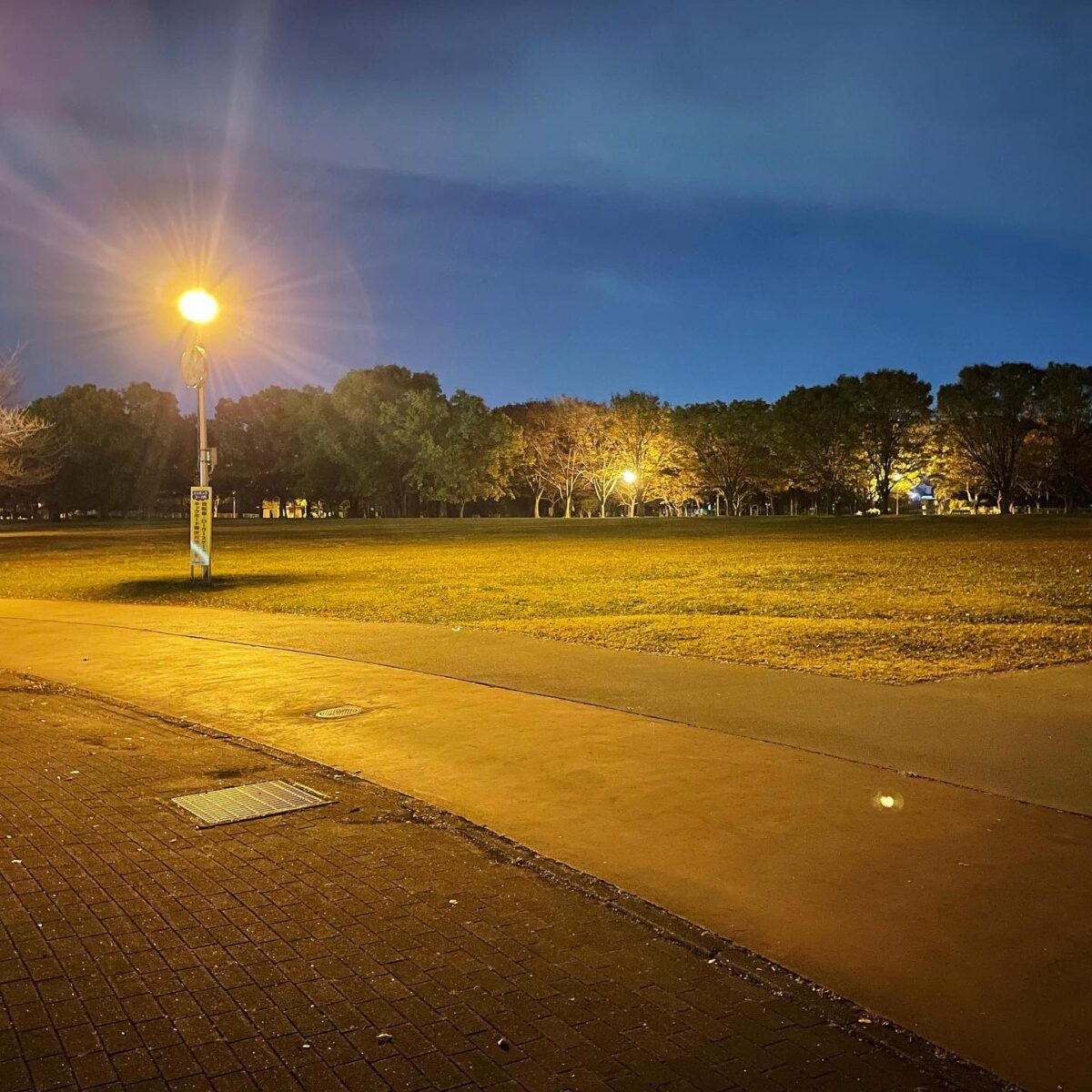 ナガシ解禁 ナガシ解禁