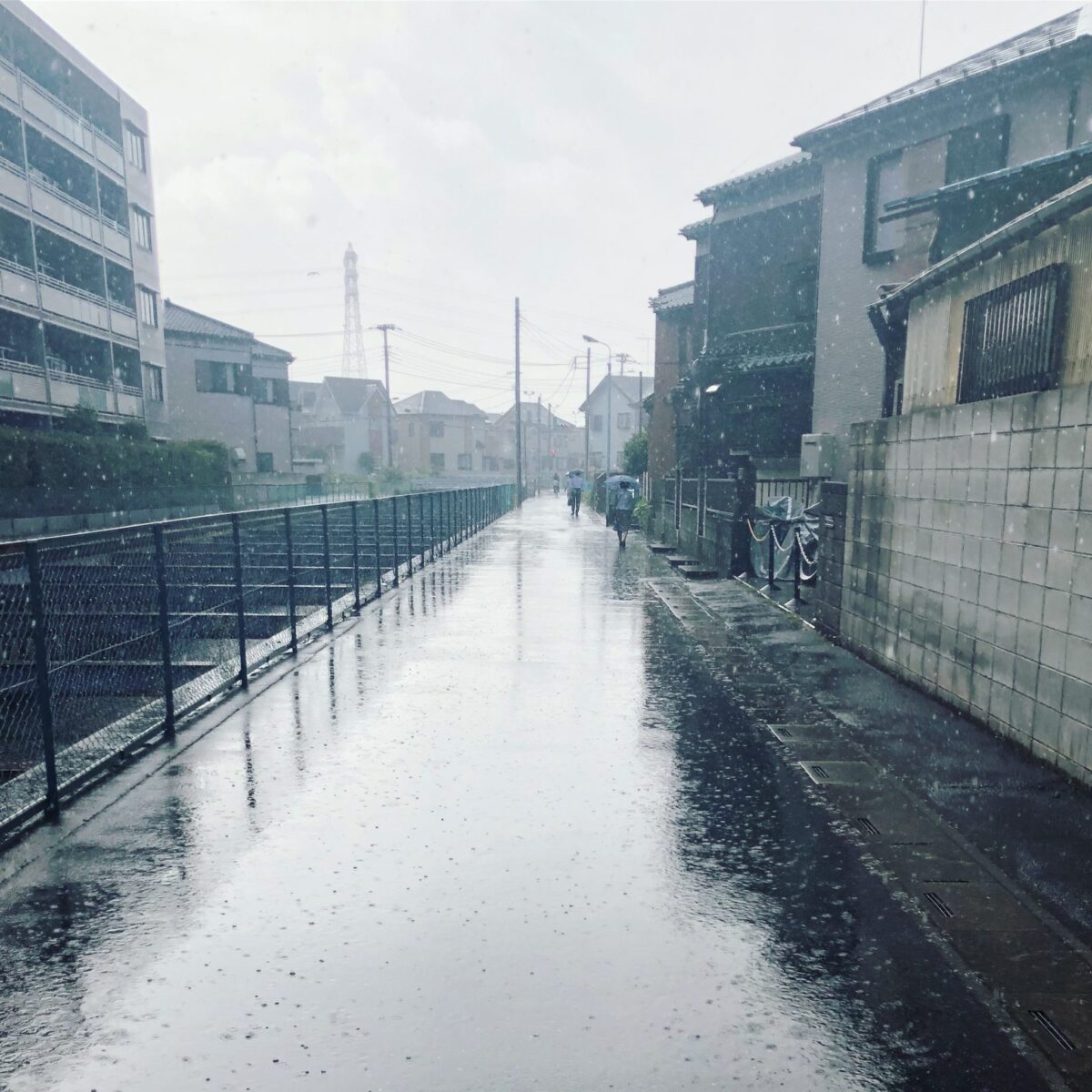 シーズン中の葛藤 シーズン中の葛藤