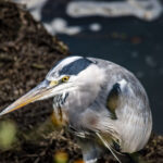 中身を埋めていく作業 中身を埋めていく作業
