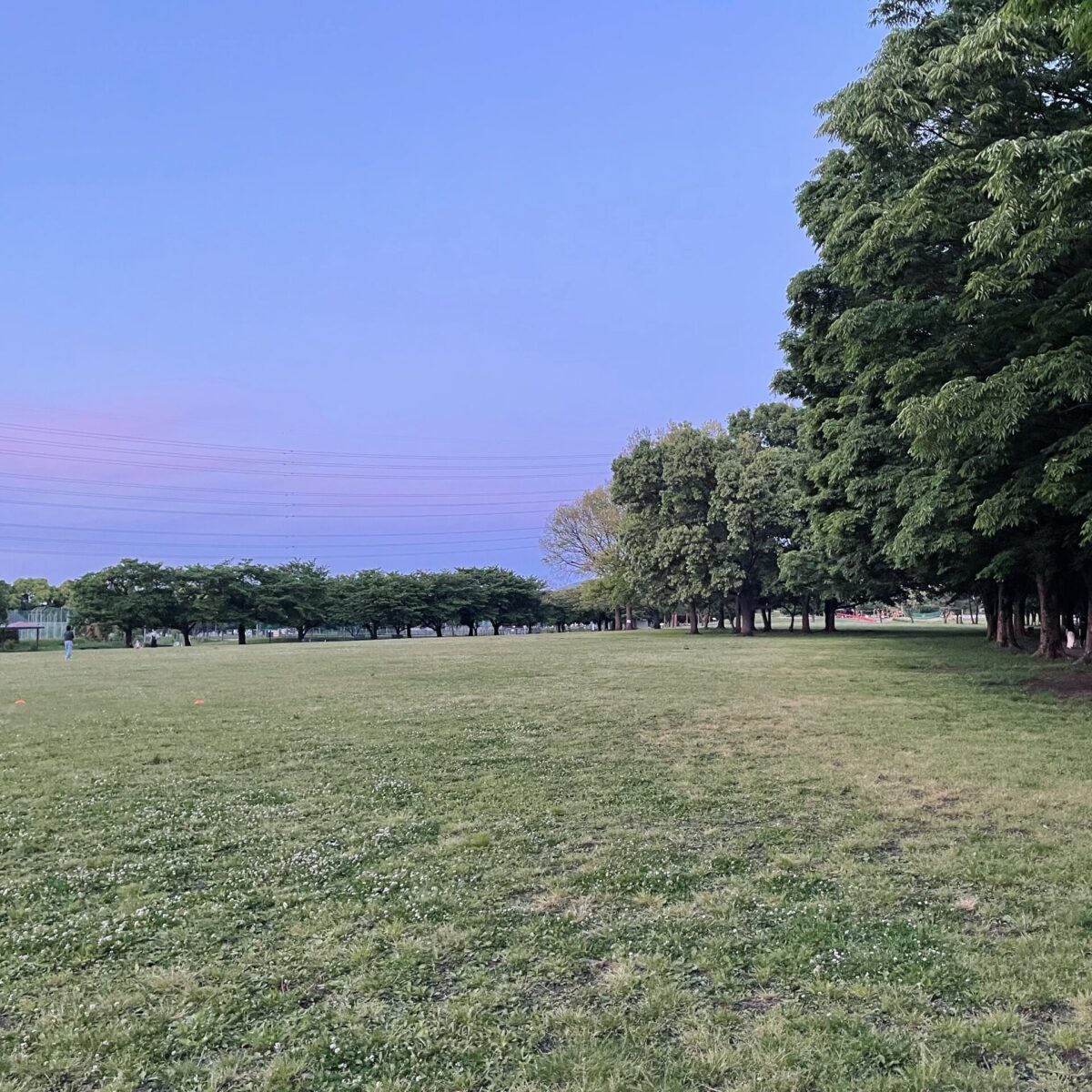 足りないところ 足りないところ