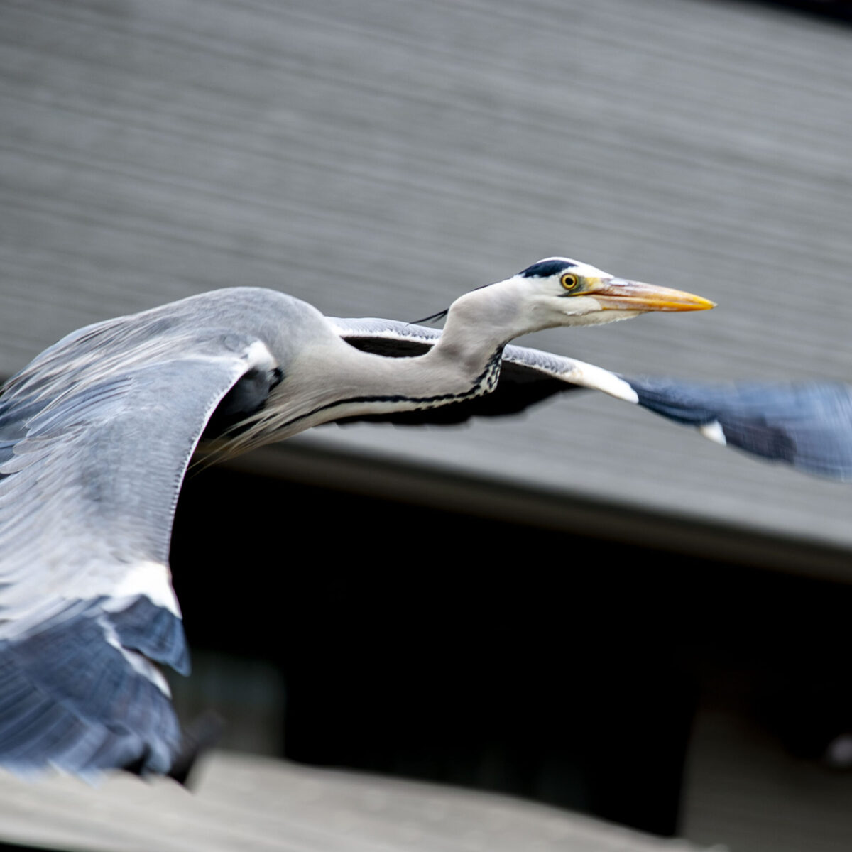疲労とお付き合いする