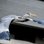 疲労とお付き合いする 疲労とお付き合いする