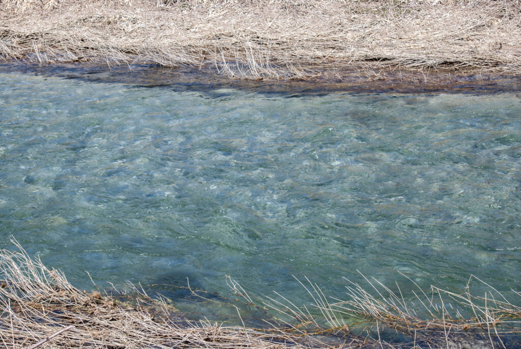魚野川・大源太川