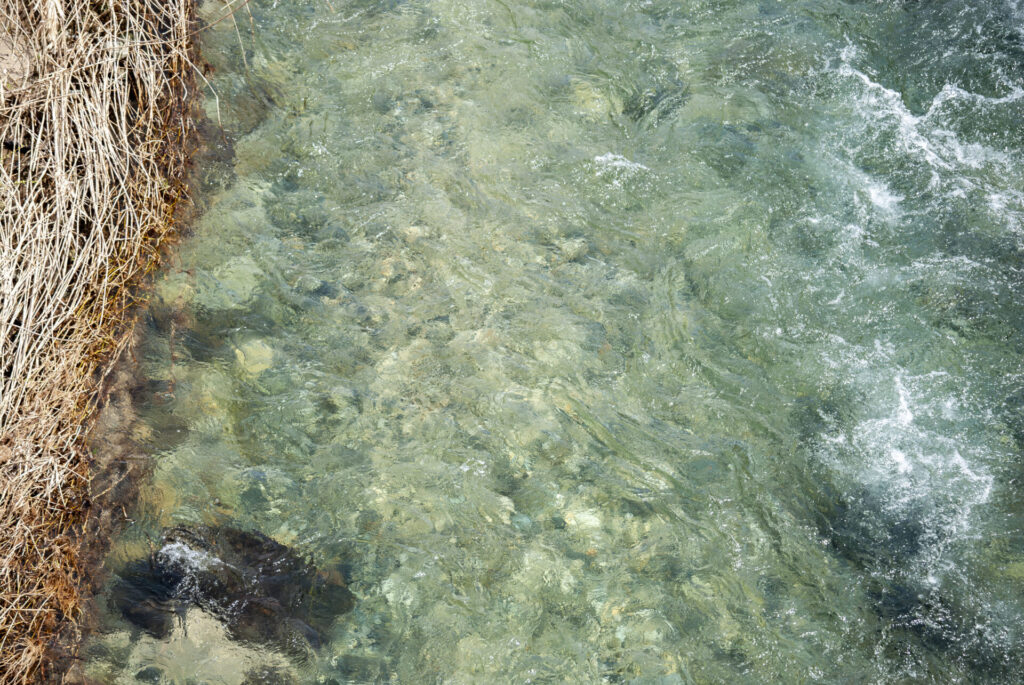 魚野川・大源太川