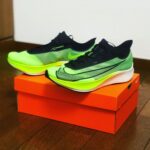 ただいまからのジョガー