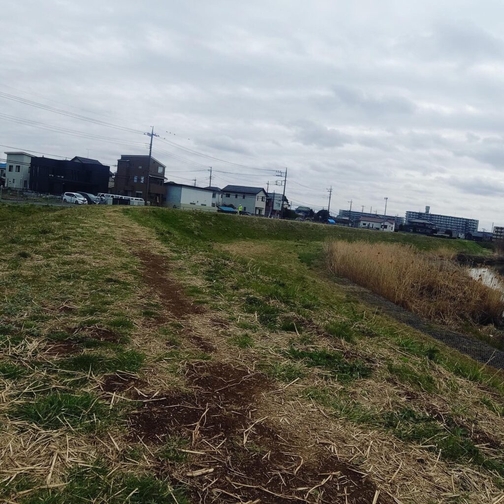 快適にモフった。