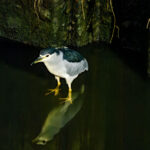 上げられるからって、上げない 上げられるからって、上げない