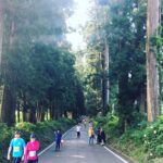 キンキンのフトモモ キンキンのフトモモ