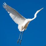 曖昧なゴール 曖昧なゴール