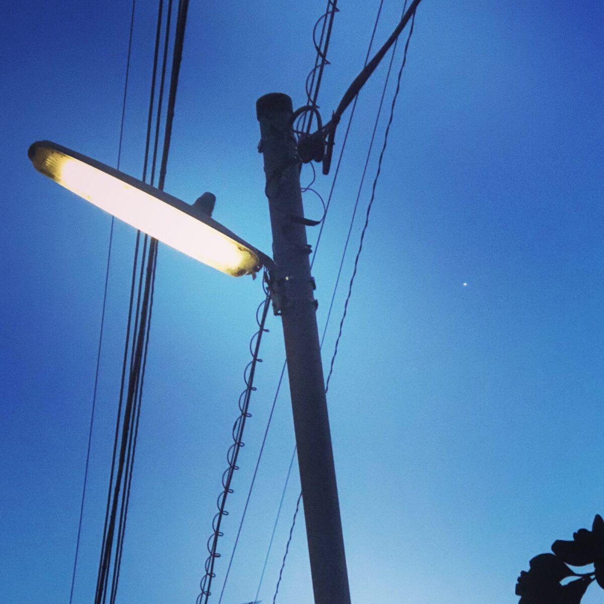 カカリチョー カカリチョー