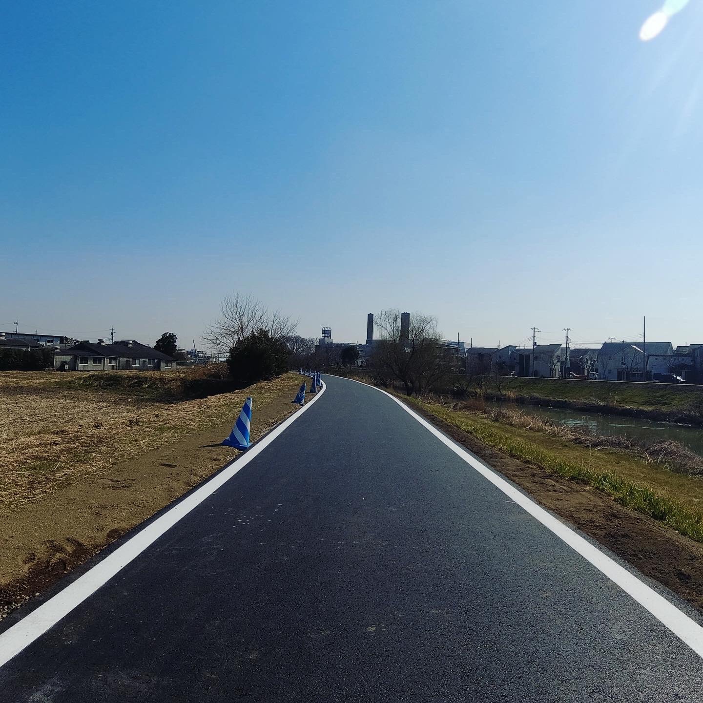 ここは前までもふもふだったのに舗装されてしまった。