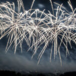 コバトンシーズン再び コバトンシーズン再び