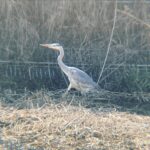 まんてん まんてん