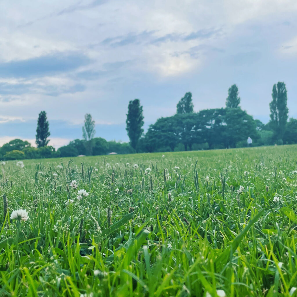 県民健康福祉村