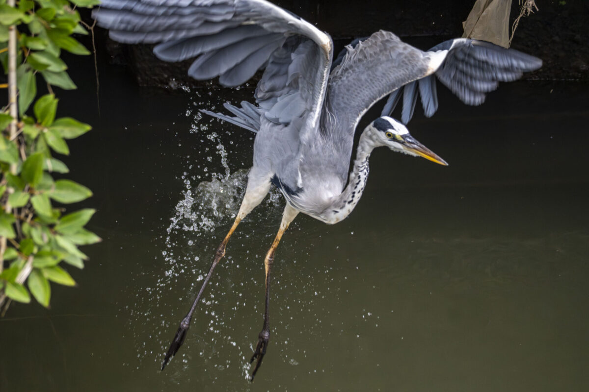 後遺症だと思いたくなるぐらい 後遺症だと思いたくなるぐらい