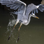 後遺症だと思いたくなるぐらい 後遺症だと思いたくなるぐらい