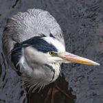 強風過敏症 強風過敏症