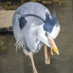 2秒落とせなかった結果 2秒落とせなかった結果