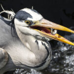 なんもわからんが なんもわからんが