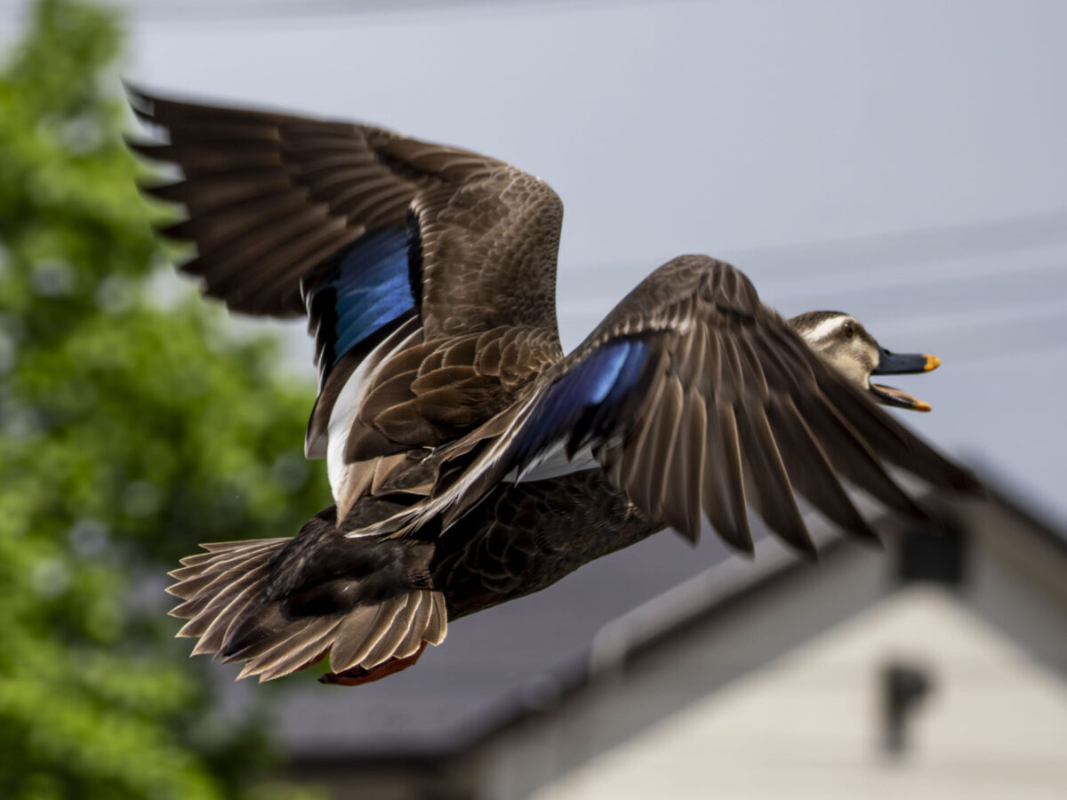 敵は故障だけではない 敵は故障だけではない