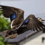 敵は故障だけではない 敵は故障だけではない