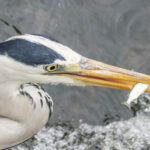 一喜のための一憂 一喜のための一憂