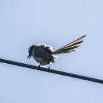 調子とヤル気 調子とヤル気