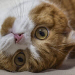 サボりながら サボりながら