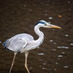 神は細部に宿る 神は細部に宿る