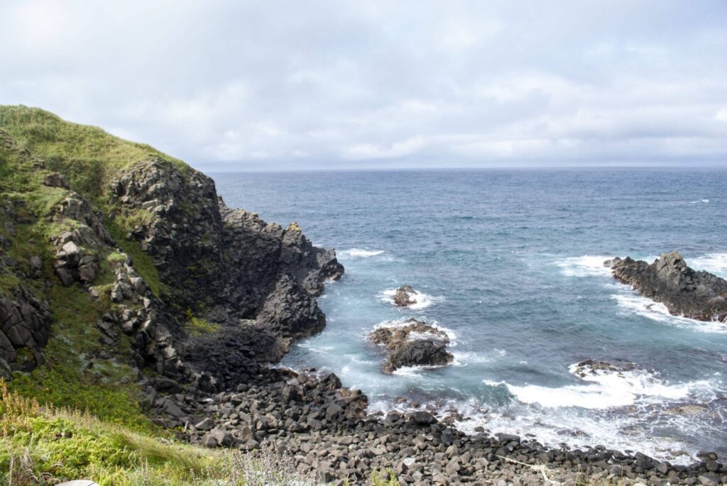 礼文島 スコトン岬