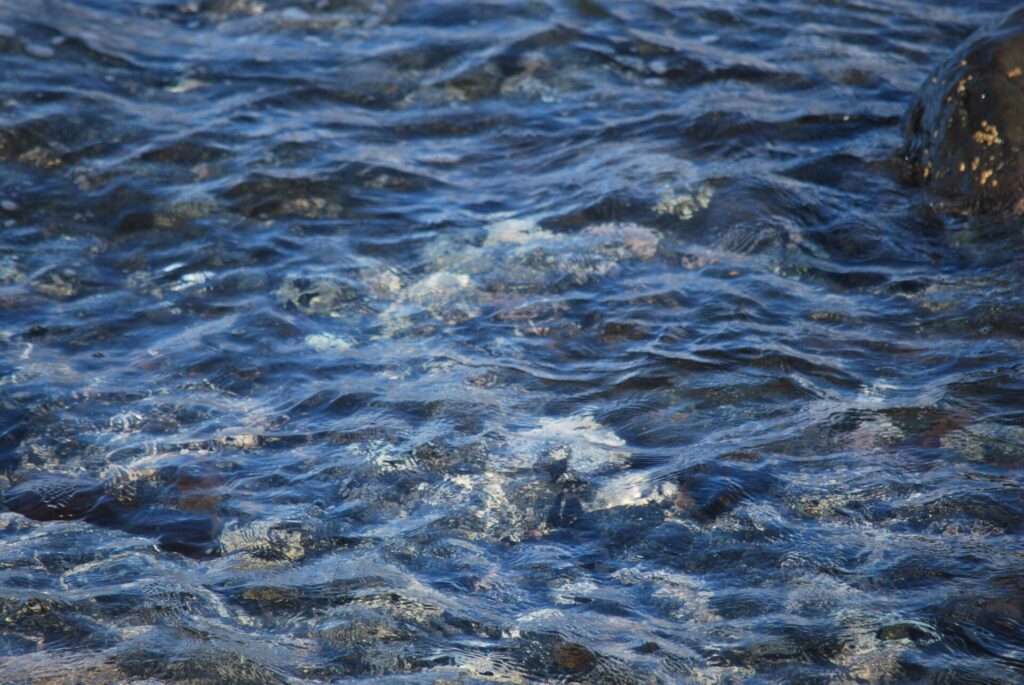 礼文島 北東部沿岸