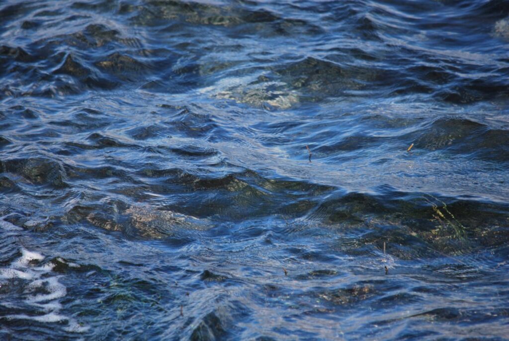 礼文島 北東部沿岸