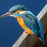 比べるけど比べない 比べるけど比べない