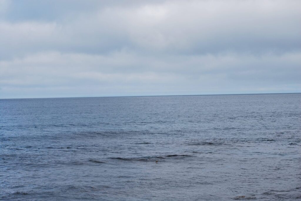 礼文島 晴れと曇りの境界線
