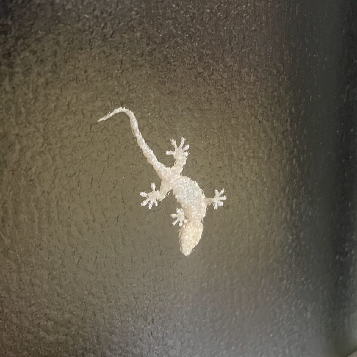 満足感を得る 満足感を得る