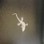 満足感を得る 満足感を得る