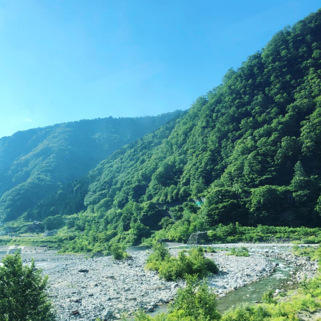 こんな景色を見ながら