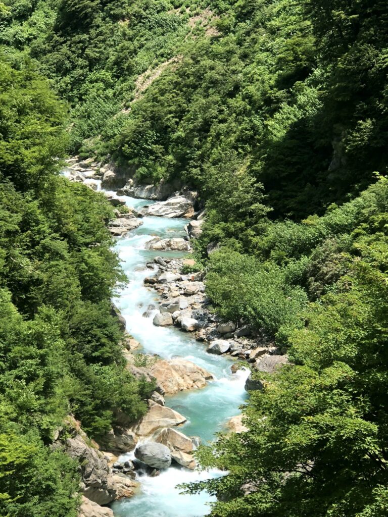 川がエメラルド・・・。ヤバい。