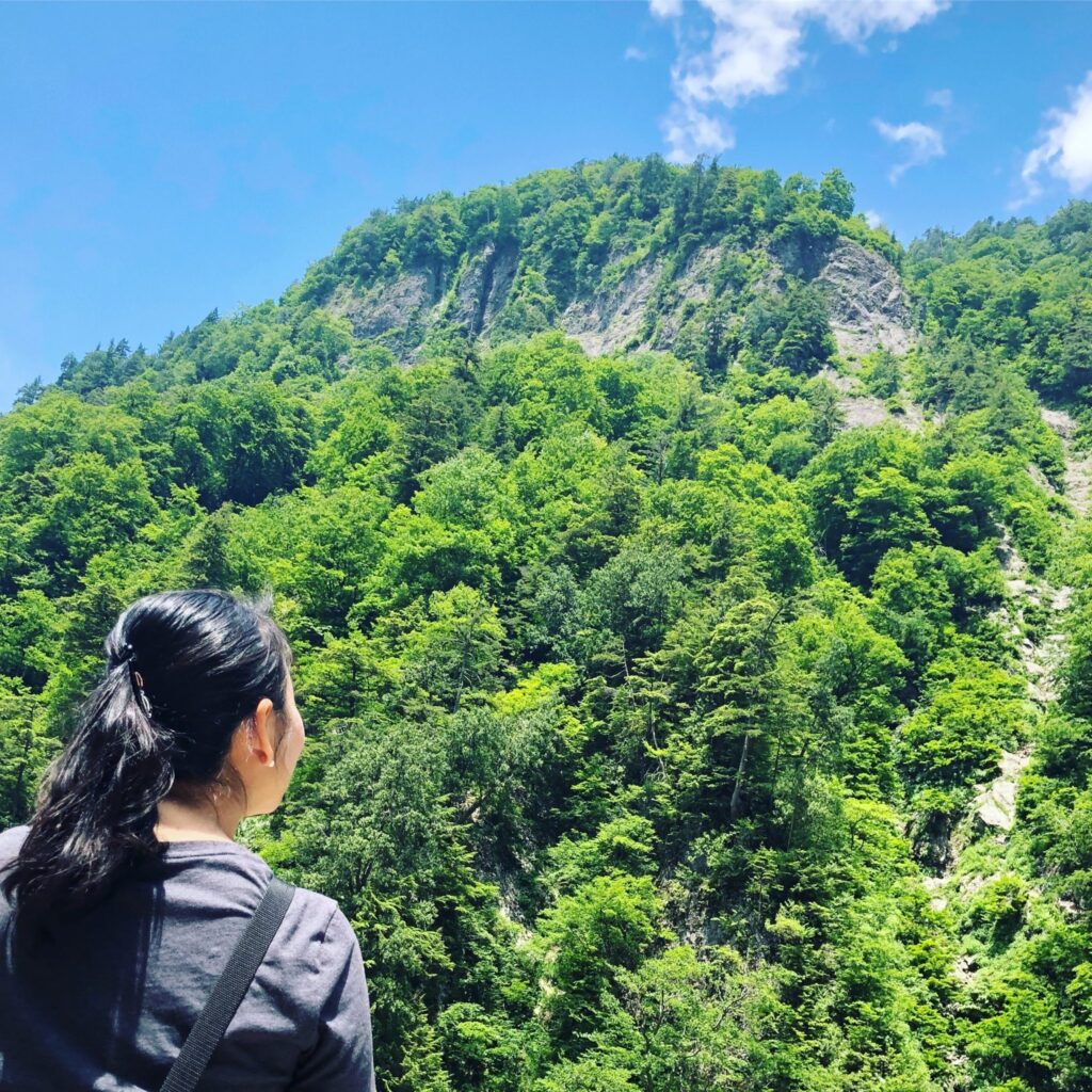 山ずーん。ヤバイ。