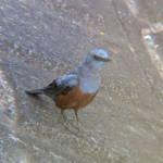 何をするというわけではないけど 何をするというわけではないけど