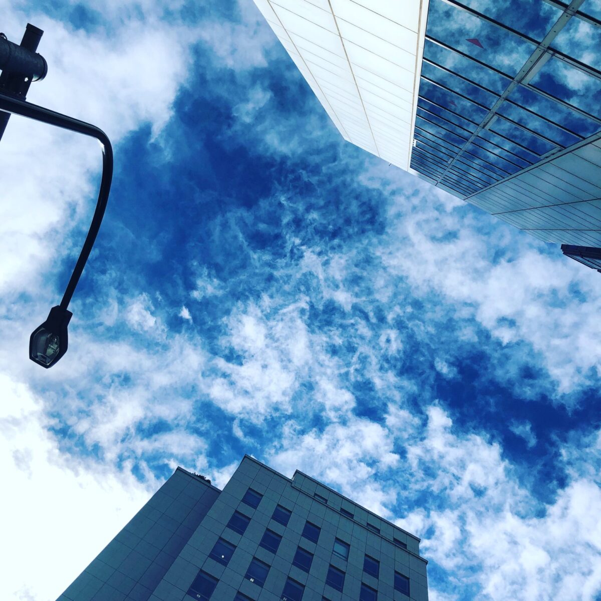 好奇心が勝った 好奇心が勝った